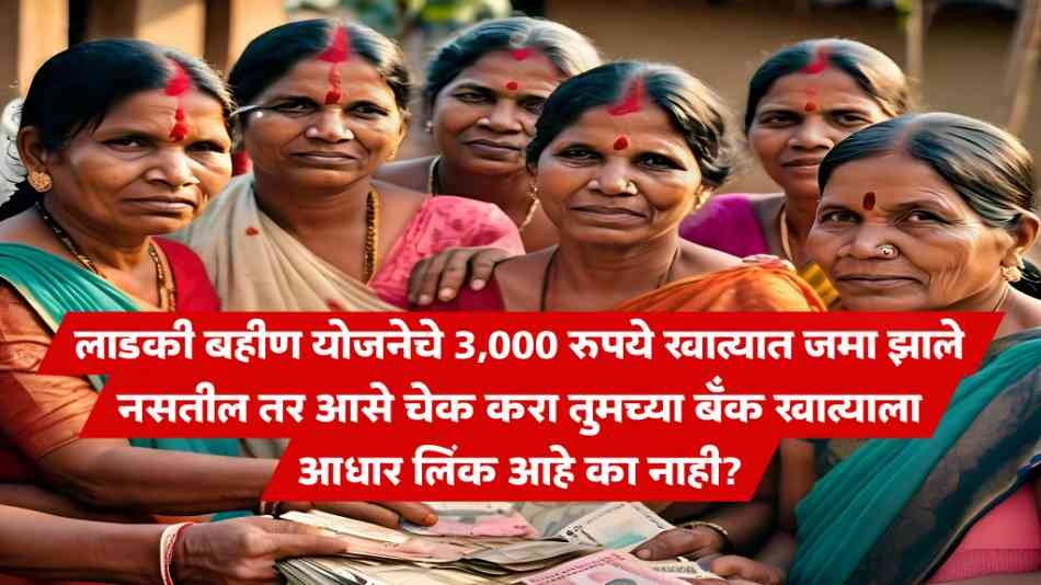 Ladki Bahin Yojana Beneficiary Status