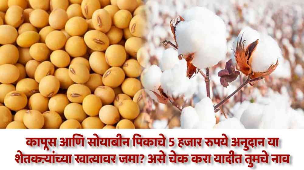 Cotton Soyabean Subsidy